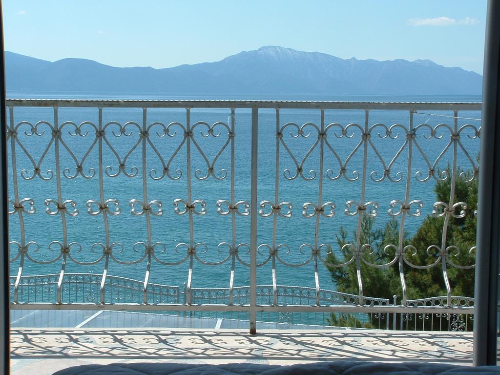 Guesthouse Kod Irene Gradac  Exterior foto